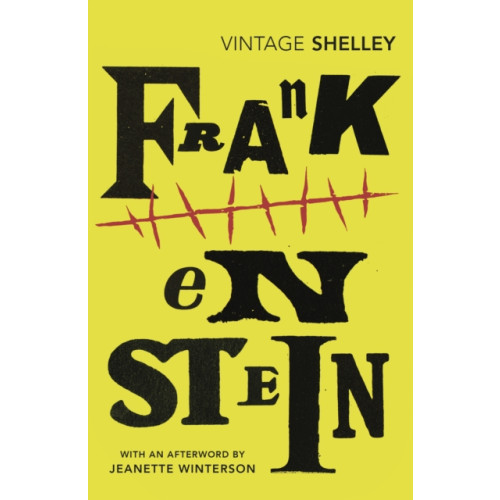 Vintage Publishing Frankenstein (häftad, eng)