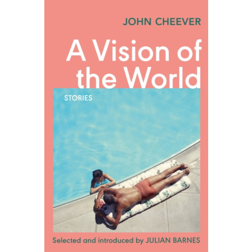 Vintage Publishing A Vision of the World (häftad, eng)