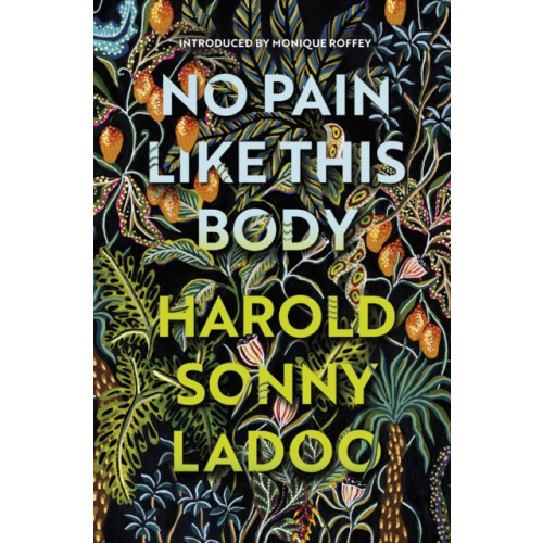 Vintage Publishing No Pain Like This Body (häftad, eng)