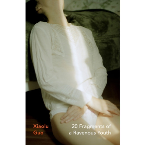 Vintage Publishing 20 Fragments of a Ravenous Youth (häftad, eng)