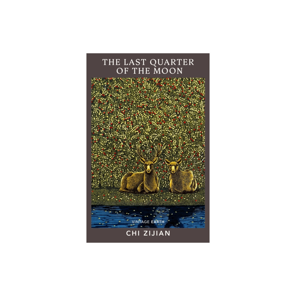 Produktbild för The Last Quarter of the Moon (häftad, eng)
