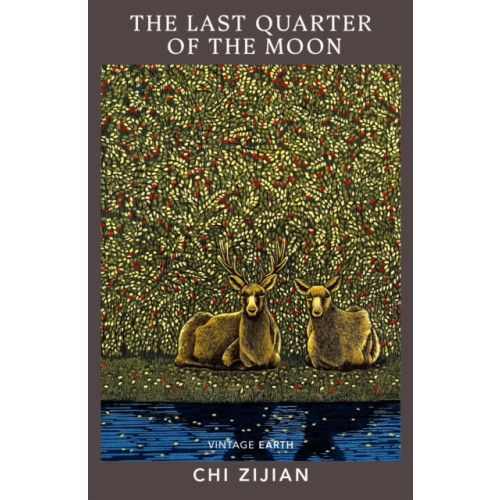 Vintage Publishing The Last Quarter of the Moon (häftad, eng)