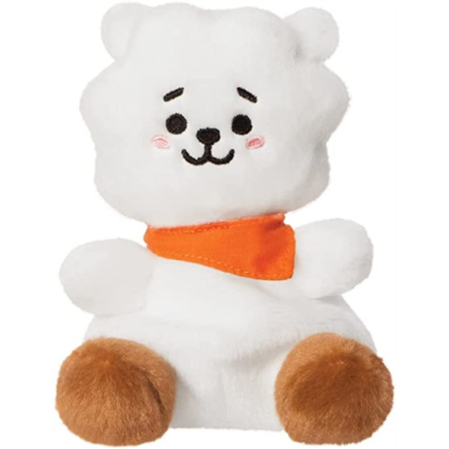 Aurora BT21 RJ Palm Pal 5In