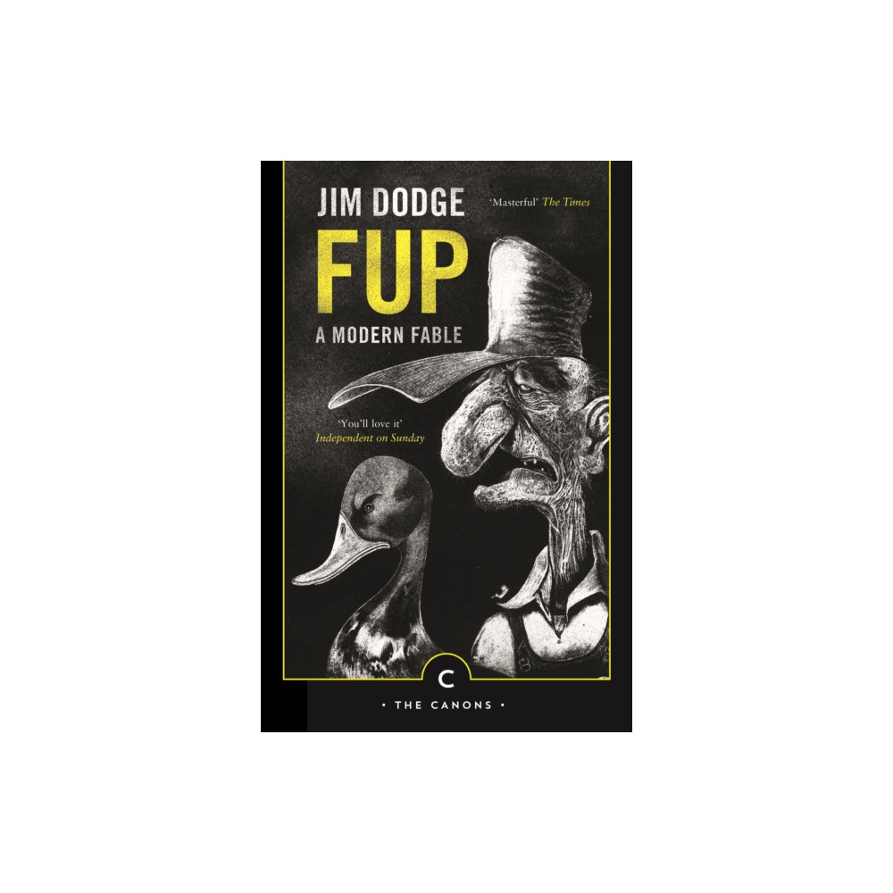Produktbild för Fup (häftad, eng)