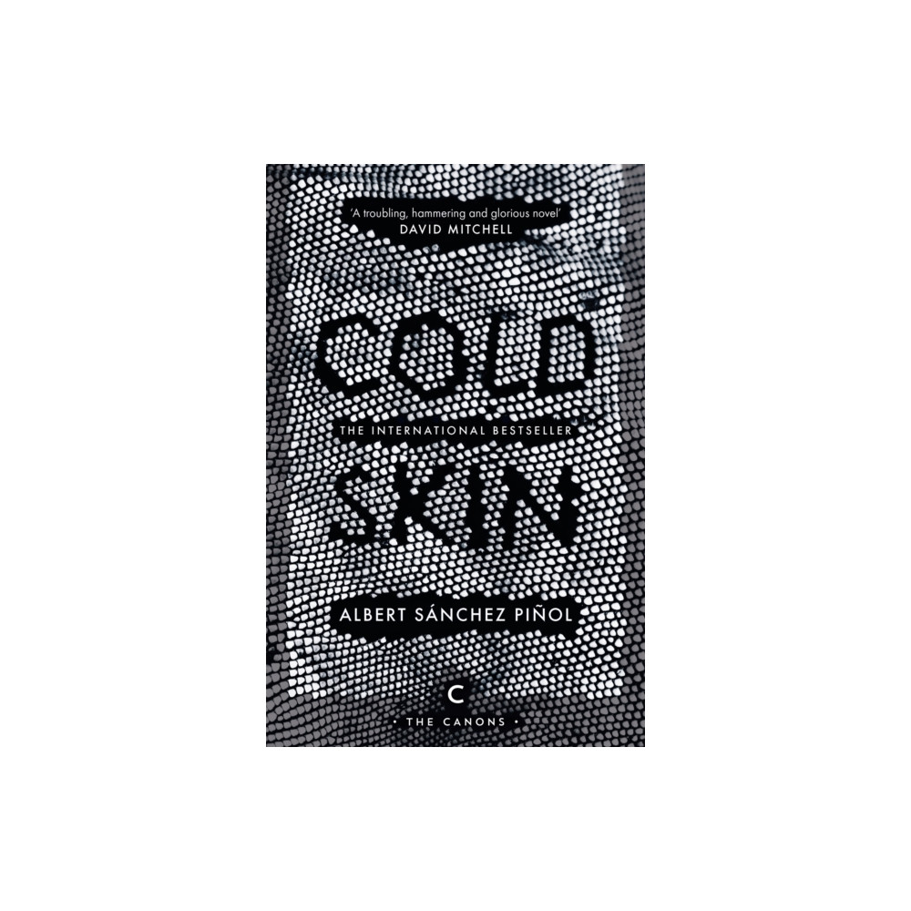 Produktbild för Cold Skin (häftad, eng)