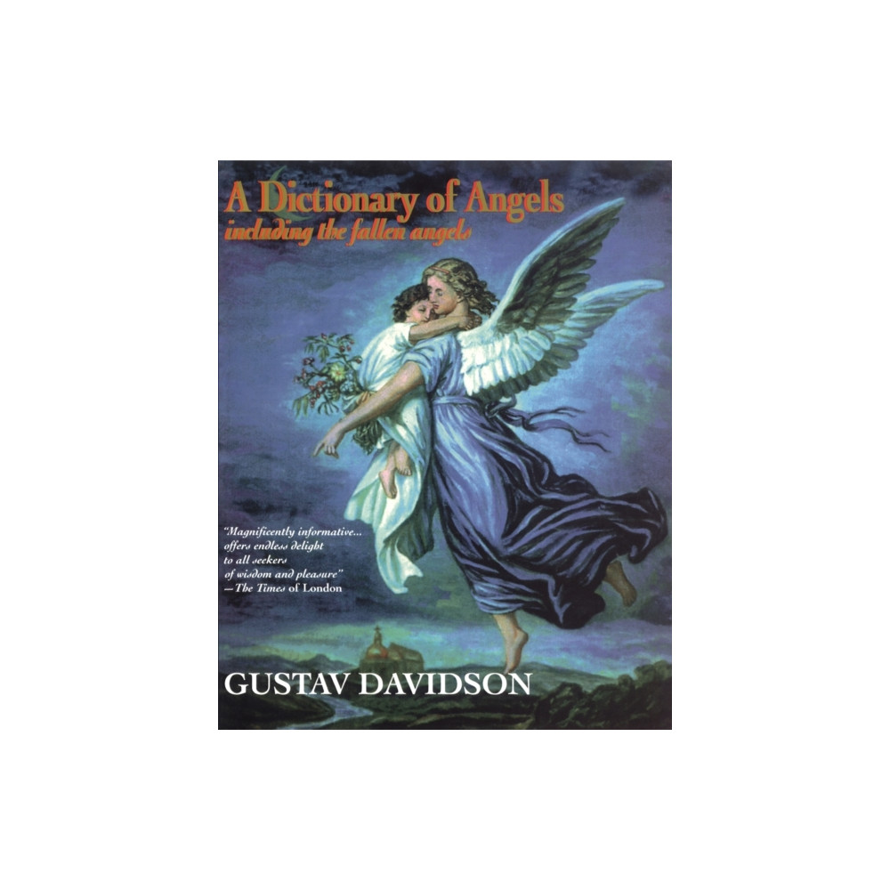 Produktbild för Dictionary of Angels (häftad, eng)