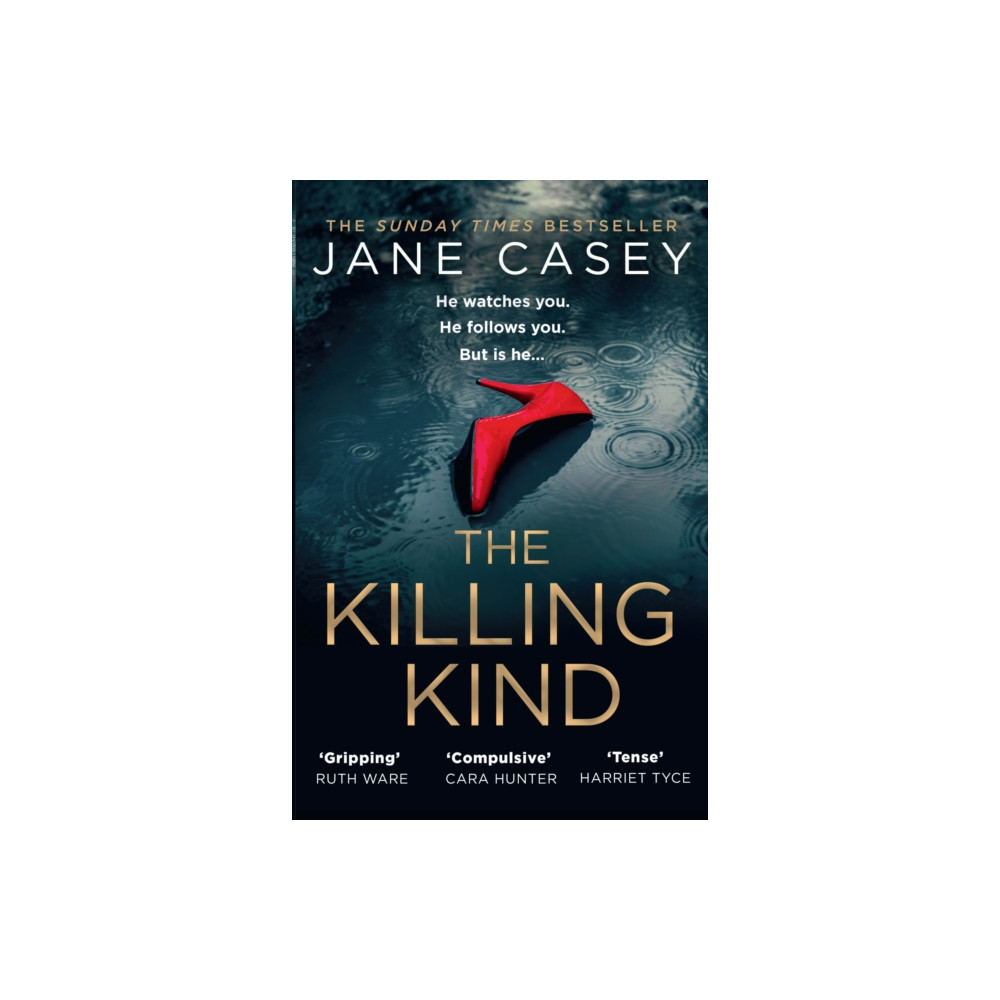 Produktbild för The Killing Kind (häftad, eng)