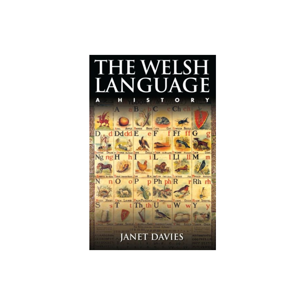 Produktbild för The Welsh Language (häftad, eng)