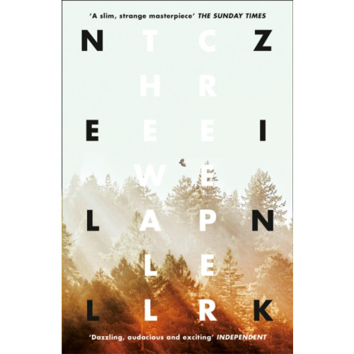 HarperCollins Publishers The Wallcreeper (häftad, eng)