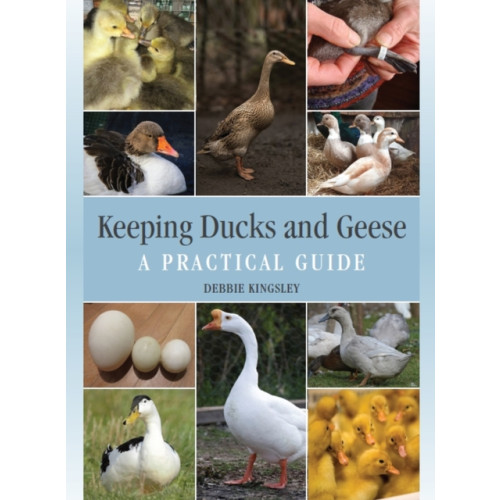 The Crowood Press Ltd Keeping Ducks and Geese (inbunden, eng)