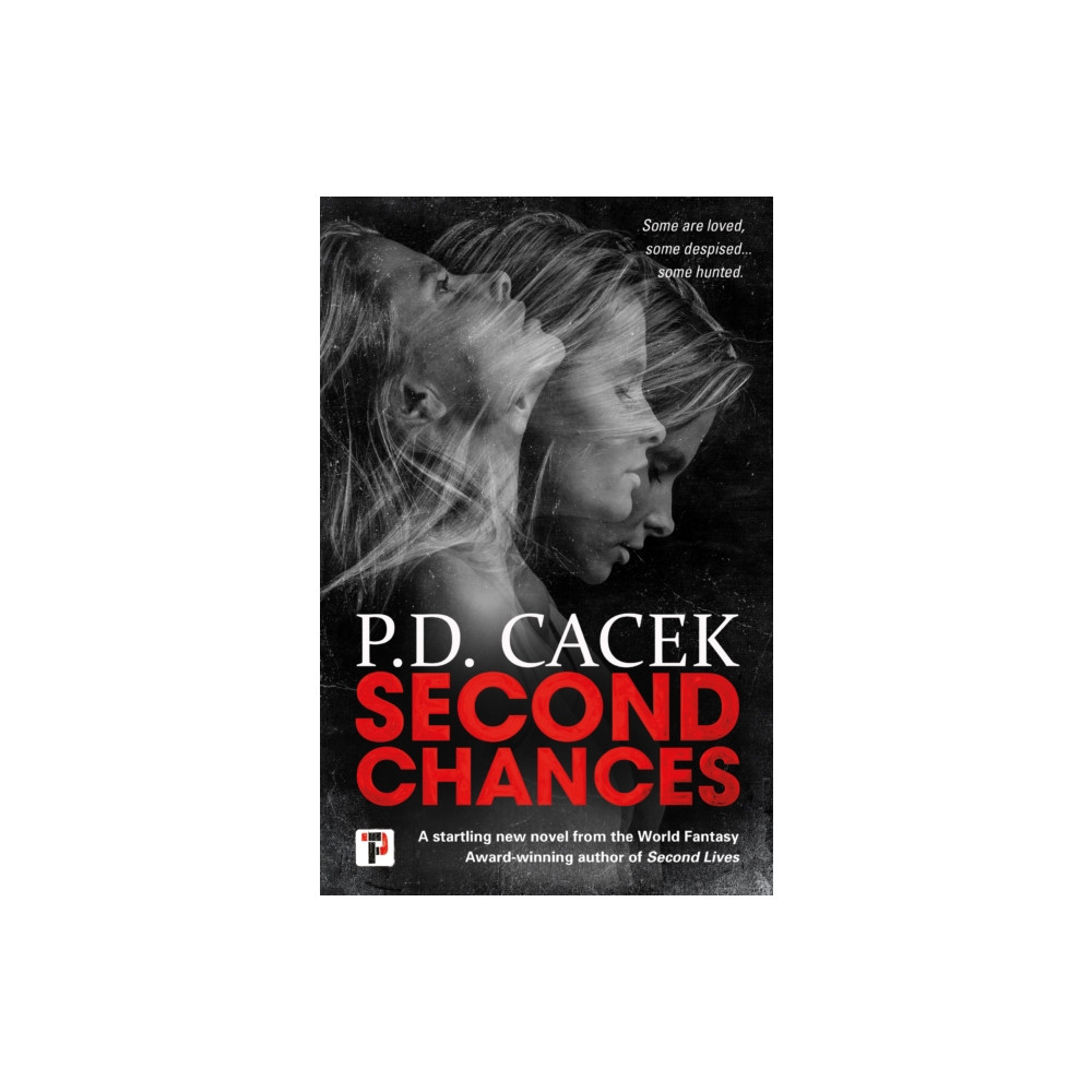 Produktbild för Second Chances (häftad, eng)