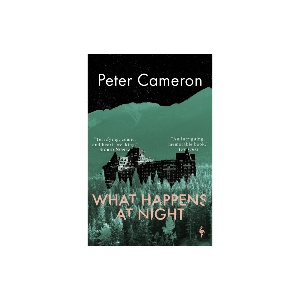 Produktbild för What Happens at Night (häftad, eng)