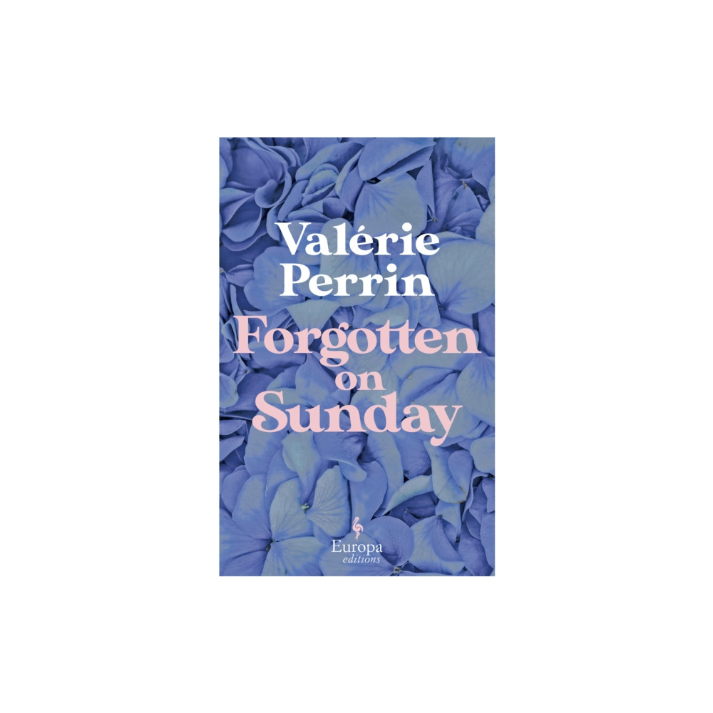 Produktbild för Forgotten on Sunday (häftad, eng)