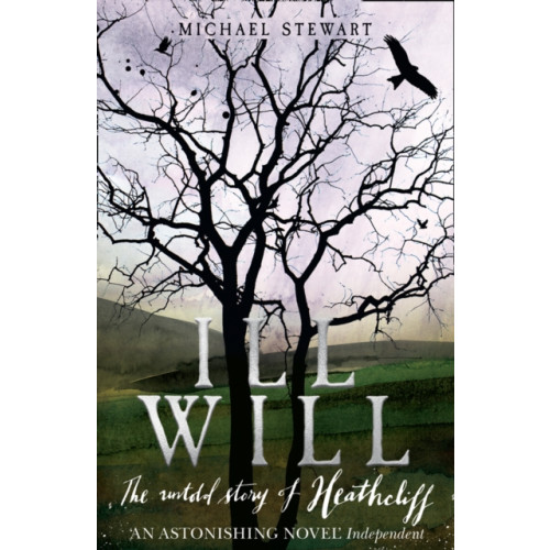 HarperCollins Publishers Ill Will (häftad, eng)