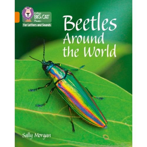 HarperCollins Publishers Beetles Around the World (häftad, eng)