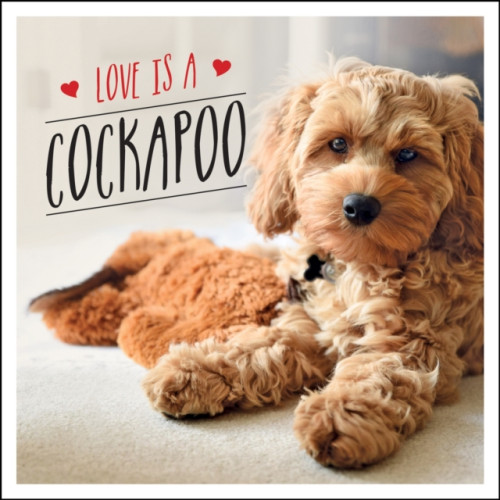 Octopus publishing group Love is a Cockapoo (inbunden, eng)