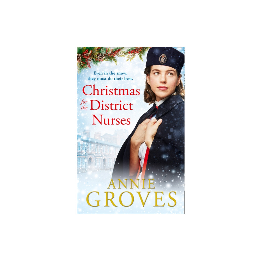 Produktbild för Christmas for the District Nurses (häftad, eng)