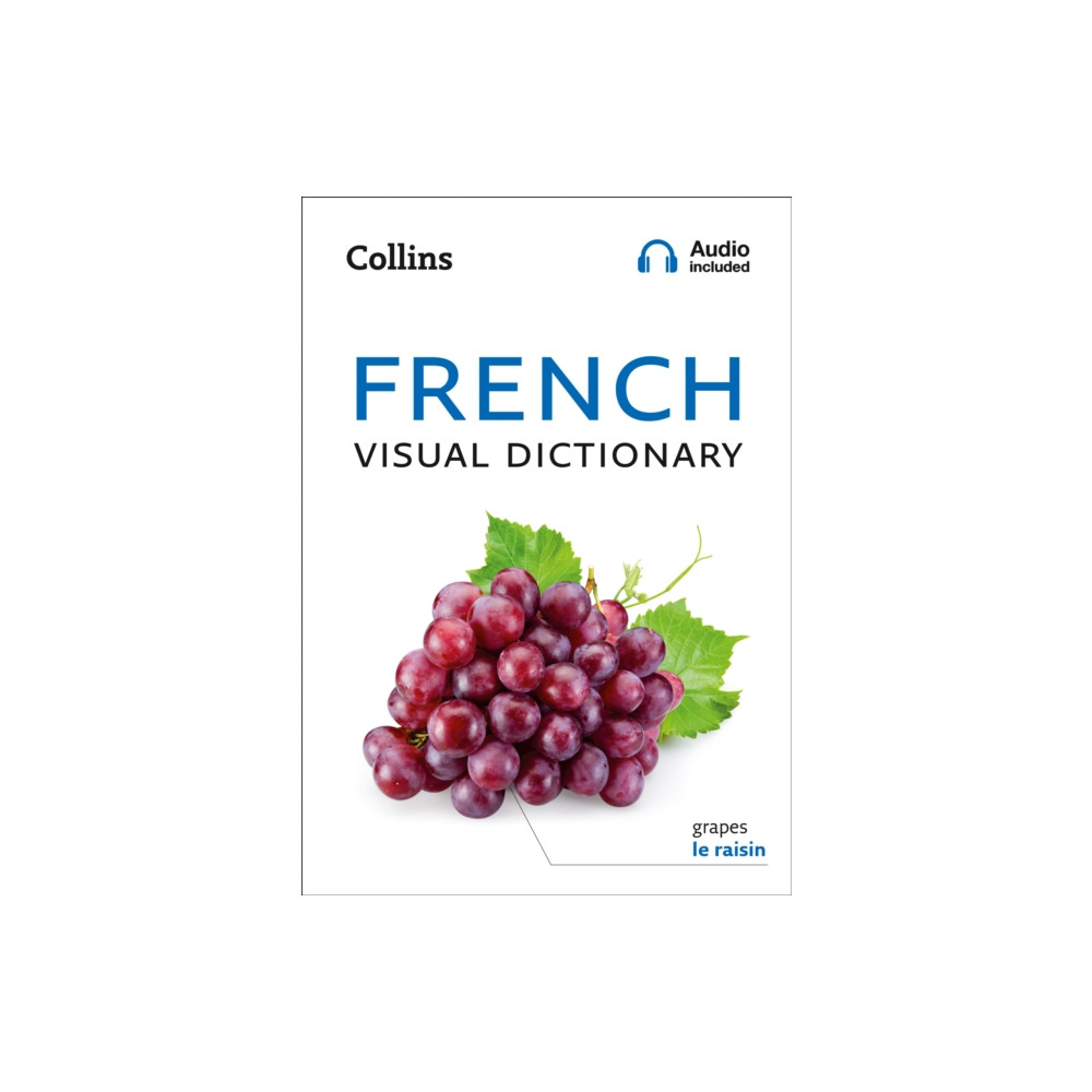 Produktbild för French Visual Dictionary (häftad, eng)