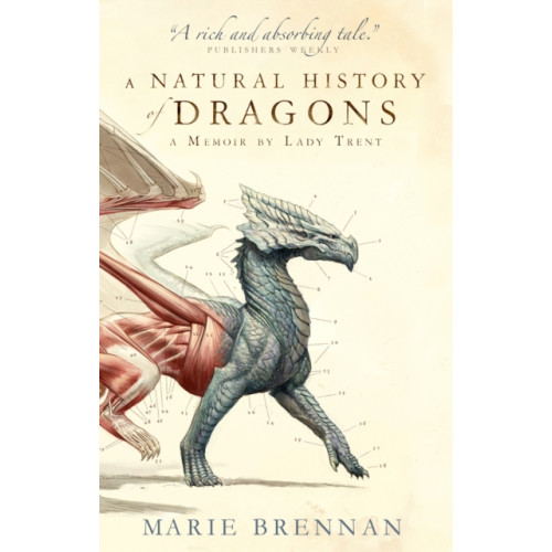 Titan Books Ltd A Natural History of Dragons (häftad, eng)
