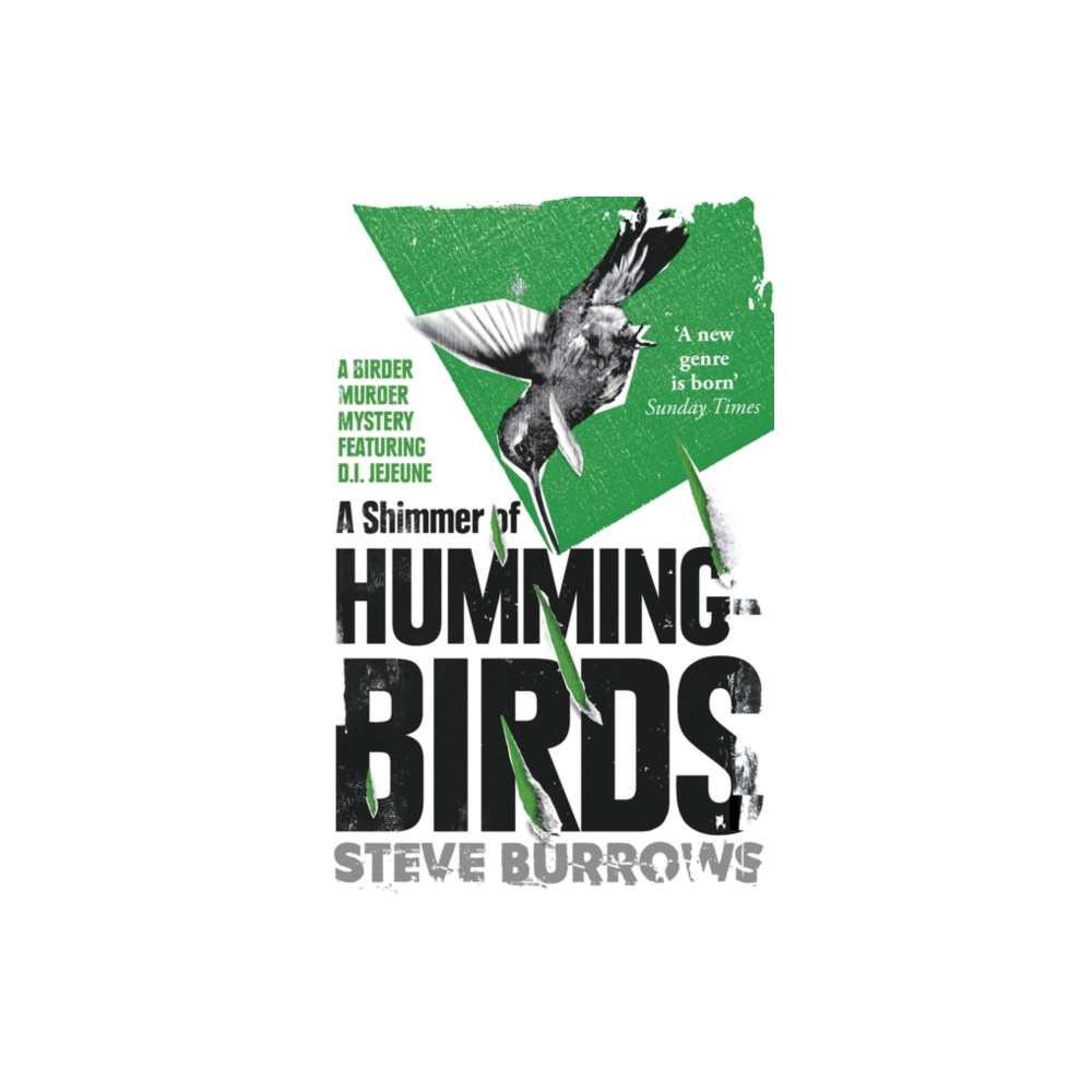 Produktbild för A Shimmer of Hummingbirds (häftad, eng)