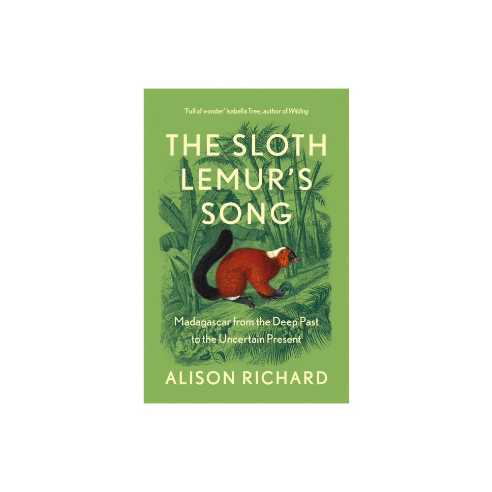 Produktbild för The Sloth Lemur’s Song (häftad, eng)