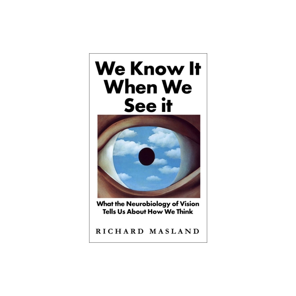 Produktbild för We Know It When We See It (inbunden, eng)