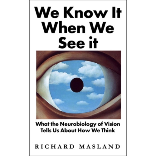 Oneworld Publications We Know It When We See It (inbunden, eng)