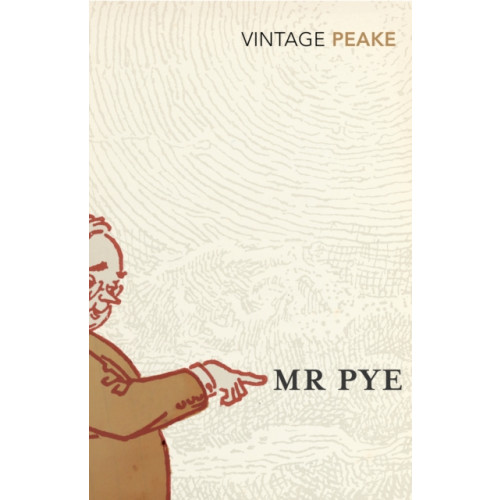 Vintage Publishing Mr Pye (häftad, eng)