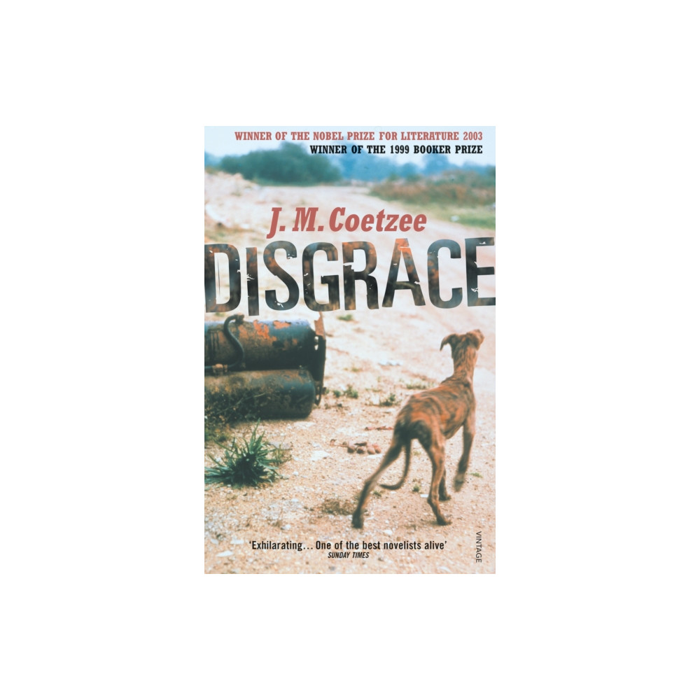 Produktbild för Disgrace (häftad, eng)
