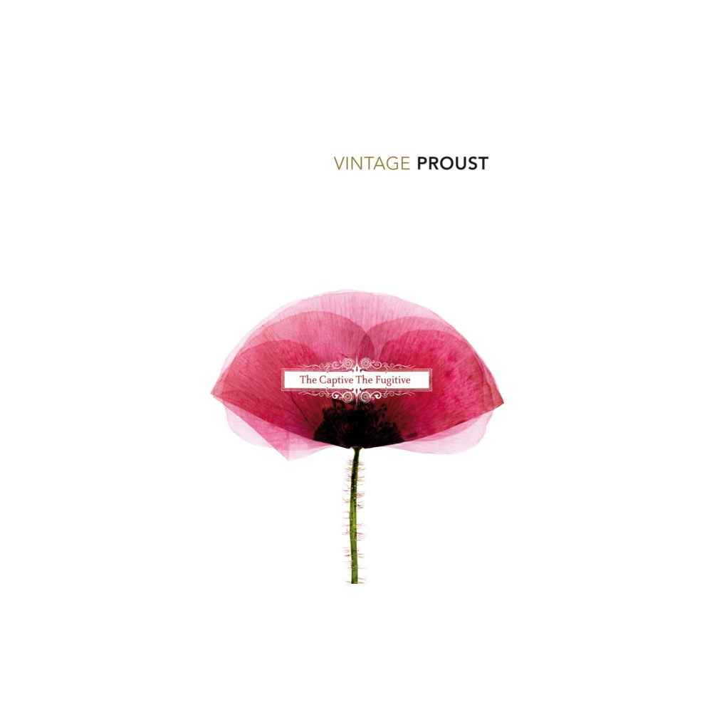 Produktbild för In Search of Lost Time, Vol 5 (häftad, eng)