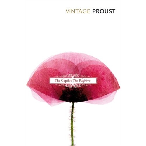Vintage Publishing In Search of Lost Time, Vol 5 (häftad, eng)