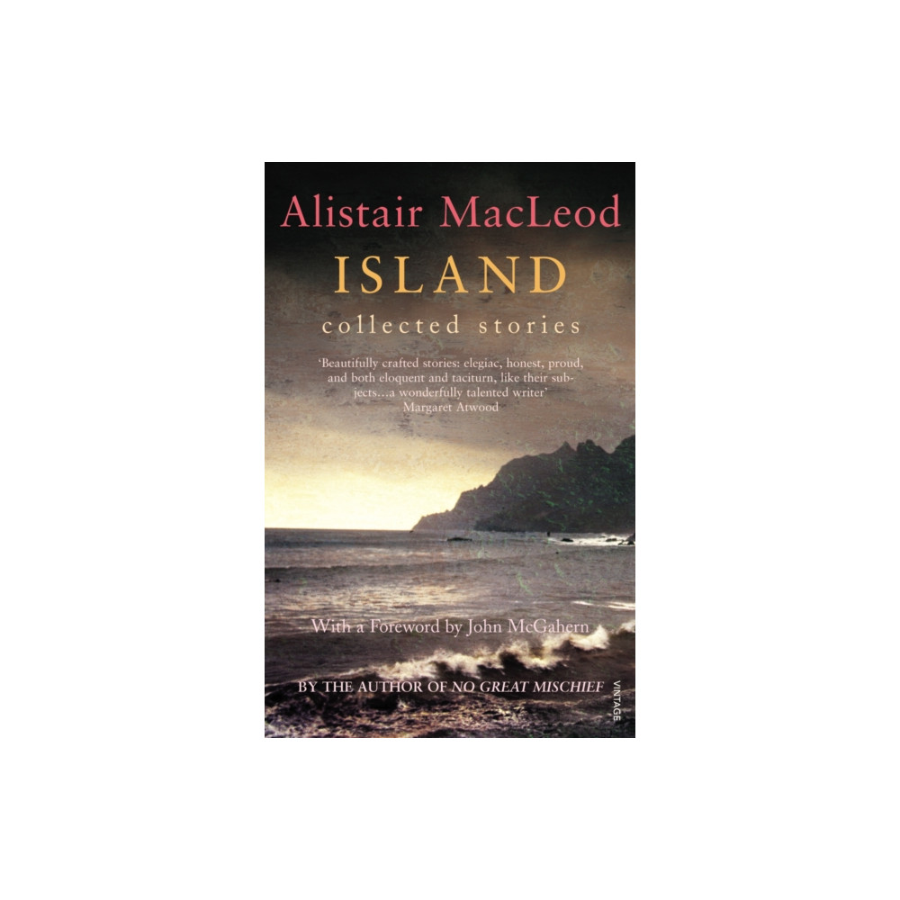 Produktbild för Island (häftad, eng)