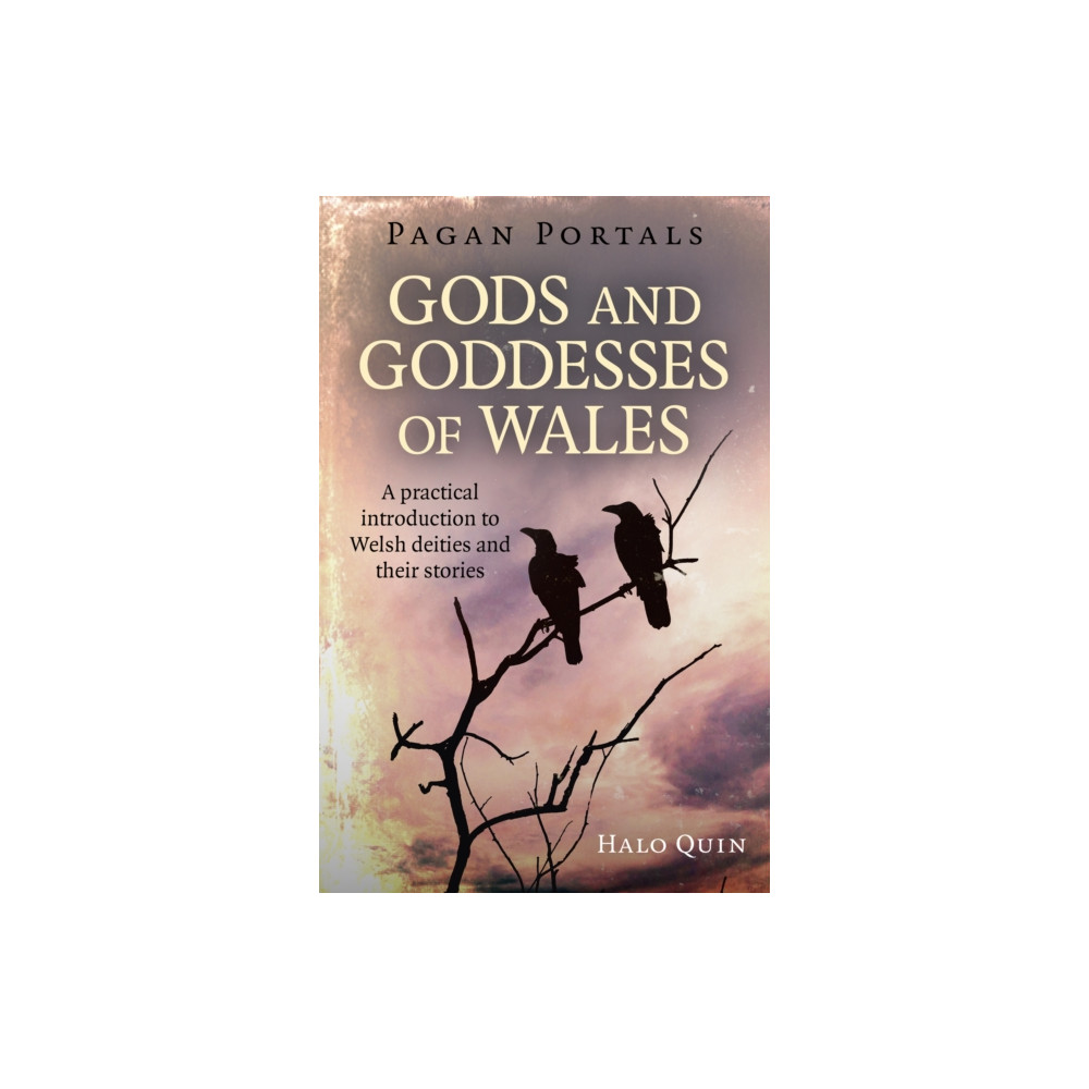 Produktbild för Pagan Portals - Gods and Goddesses of Wales (häftad, eng)