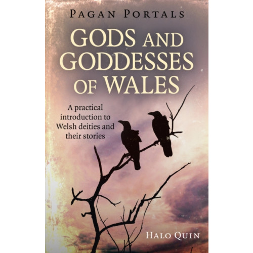 Collective Ink Pagan Portals - Gods and Goddesses of Wales (häftad, eng)