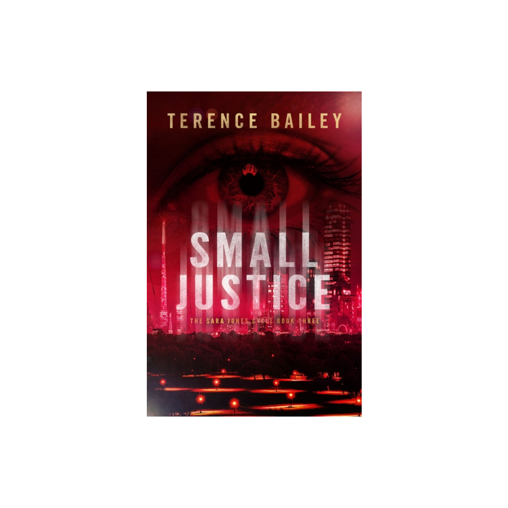 Produktbild för Small Justice (häftad, eng)