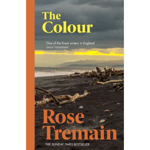 Vintage Publishing The Colour (häftad, eng)