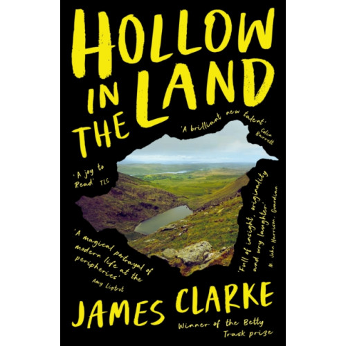 Profile Books Ltd Hollow in the Land (häftad)