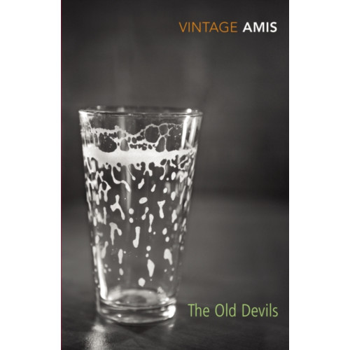 Vintage Publishing The Old Devils (häftad, eng)