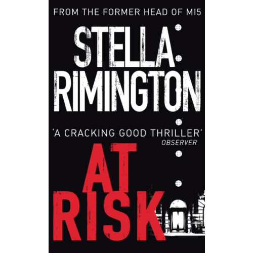 Cornerstone At Risk (häftad, eng)