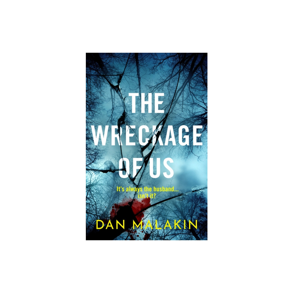 Produktbild för The Wreckage of Us (inbunden, eng)