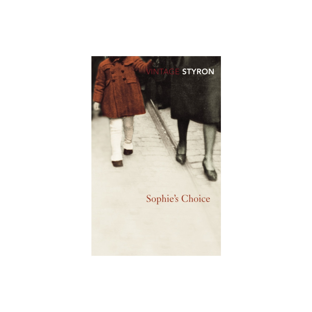 Produktbild för Sophie's Choice (häftad, eng)