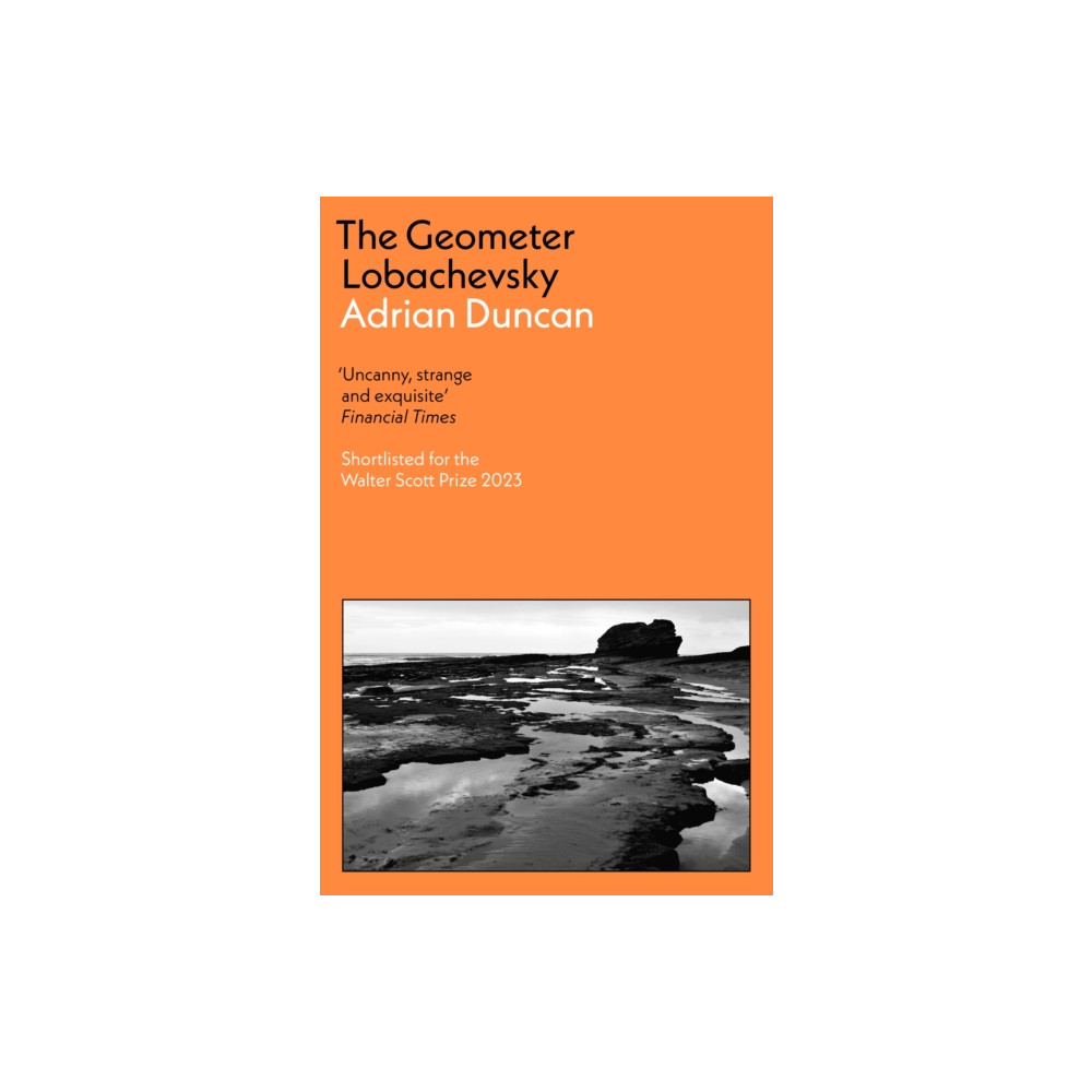 Produktbild för The Geometer Lobachevsky (häftad, eng)