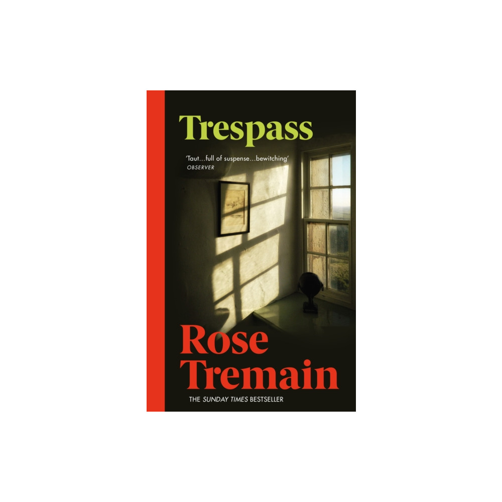 Produktbild för Trespass (häftad, eng)