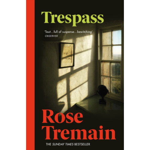 Vintage Publishing Trespass (häftad, eng)