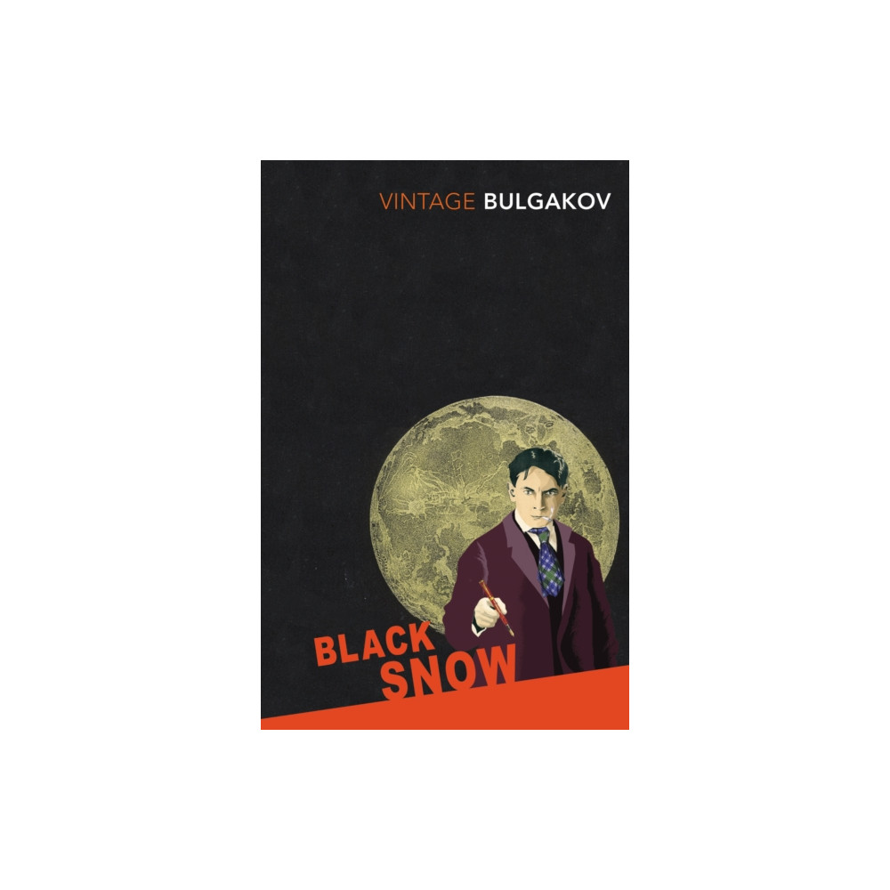 Produktbild för Black Snow (häftad, eng)