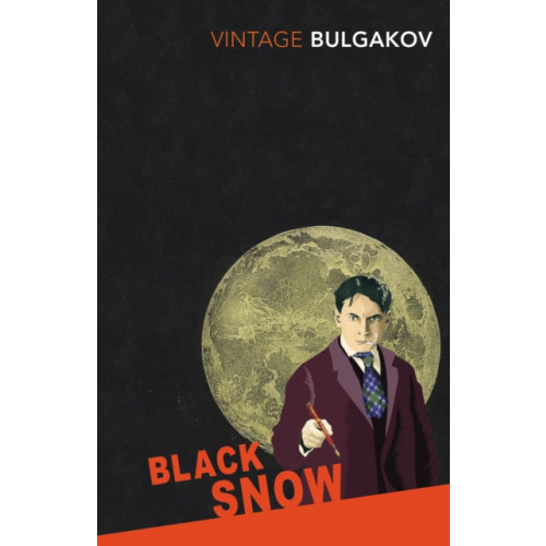 Vintage Publishing Black Snow (häftad, eng)