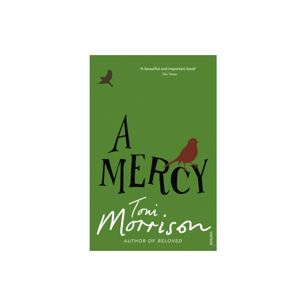 Produktbild för A Mercy (häftad, eng)