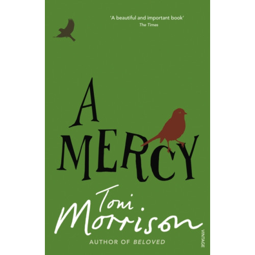 Vintage Publishing A Mercy (häftad, eng)