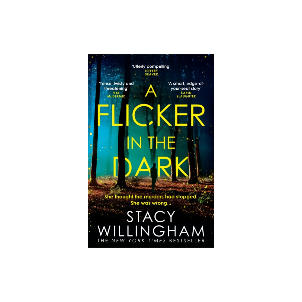Produktbild för A Flicker in the Dark (häftad, eng)