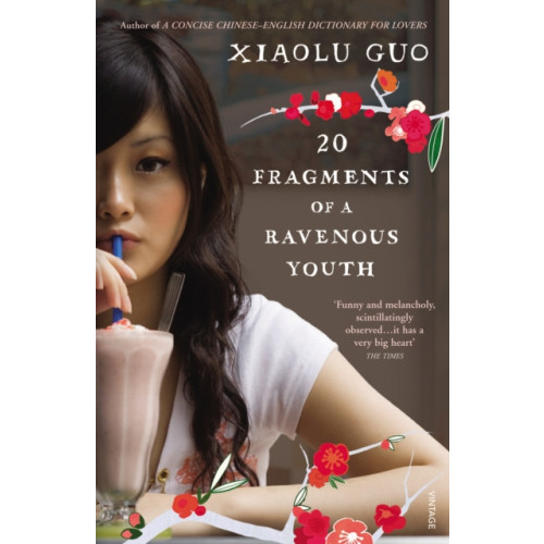 Vintage Publishing 20 Fragments of a Ravenous Youth (häftad, eng)